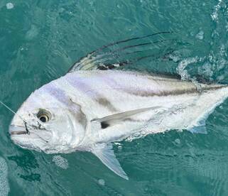 Best day to wrap up 2025