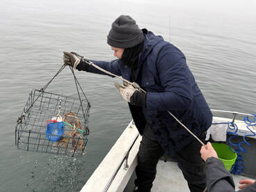 Good times - limited out!