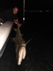 Great Captain and Great memories