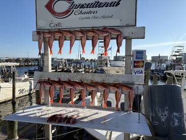 If you want to catch fish BOOK WITH CHRIST