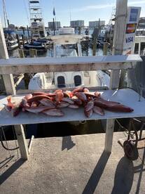 If you want to catch fish BOOK WITH CHRIST