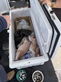 The Reel Thing Charters With Skipper Mark.