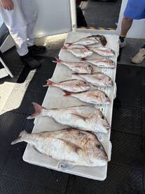 The Reel Thing Charters With Skipper Mark.
