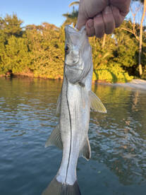 Captain John worked hard for us and knew what he was doing!