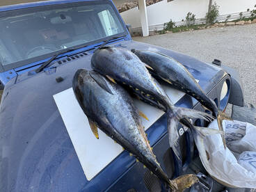 Don\u2019t waste your time looking else where 