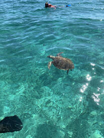 Excellent experience!