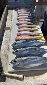 Amazing Fishing trip!