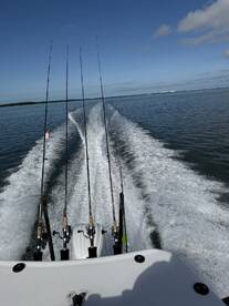 Beautiful new boat - great fish - friendly guides!