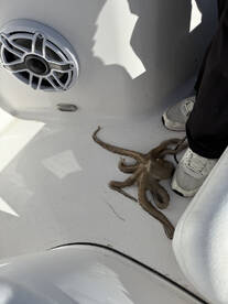 Great time! Great Captain! 