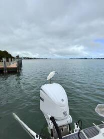 Guter Ausflug, netter Captain 