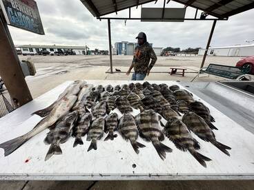 The best in the bayou!!!