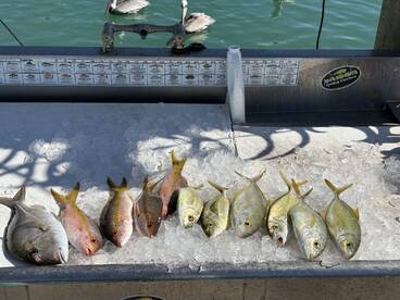 Had a great time with hardworking captain!