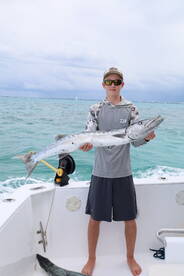 Barracuda Barracuda!