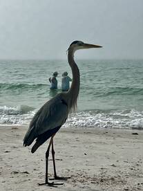 Fun from the beach with Captain Steve