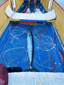 Biggggg KING!\ud83d\udc51 