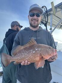 Crazy amount of fish and fun