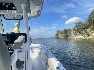 Amazing Day; Caught Lots of Fish