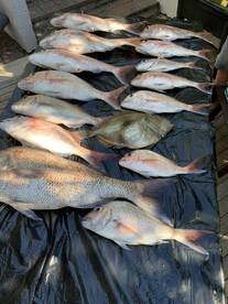 Awesome fishing experience 