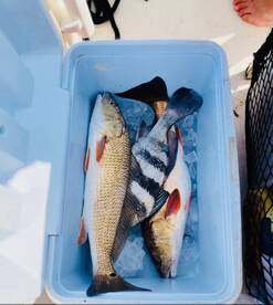 A day fishing with Captain Jessica 