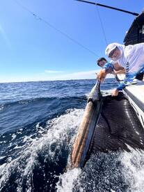 Two anglers proudly displaying a large Marlin while fishing offshore, showcasing a thrilling catch in clear blue waters.