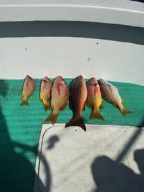 They call it fishing not always catching