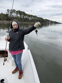 Excellent Experience