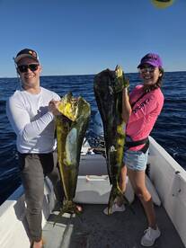 Double Mahi Mahi