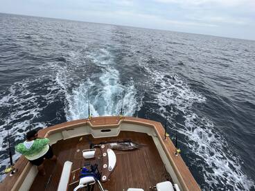 Full day fishing experience 