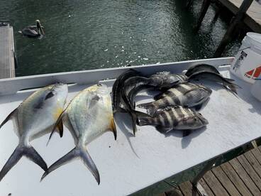 Caught a lot of fish