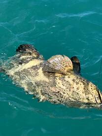 January fishing trip