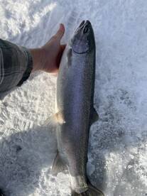 Ice fishing with Captain Nate