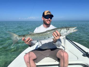 Barracuda on the flats