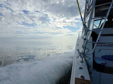 A scenic view of the boat's side as it navigates calm waters, showcasing the tranquil fishing environment.