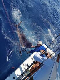 Angler actively reeling in a large marlin during a deep-sea fishing trip, showcasing the excitement of sport fishing.