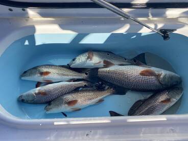 Way back in the cold country!