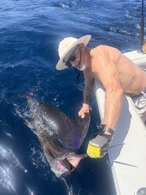 An angler actively reeling in a large Sailfish while fishing in deep blue waters, showcasing the excitement of sport fishing.