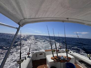 View from the helm of a fishing boat, showcasing multiple fishing rods and a sparkling ocean under a clear blue sky.