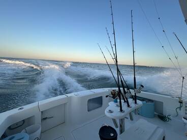 Such a cool experience 