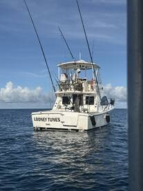 Excellent boat and crew