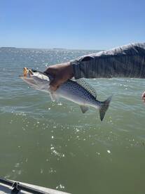 Book with Captain Keith!