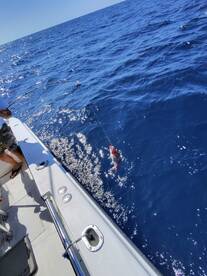 An angler reeling in a Red Snapper while fishing on a sunny day in deep blue waters.