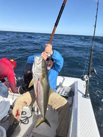 An excited angler proudly displays a large Yellowtail caught while fishing offshore, showcasing the thrill of the catch.