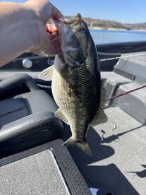 Great Trip on Short Notice