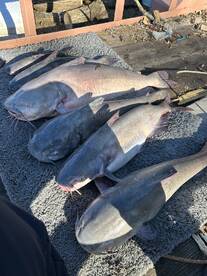 Father and son fishing trip