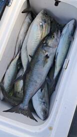 Best fishing charter!