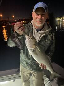 Nightime is the right time