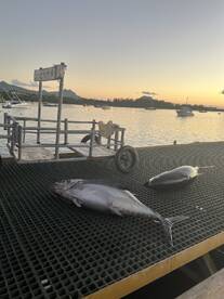 Put in the extra effort 