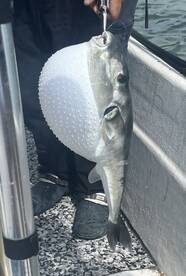 Good day on the water