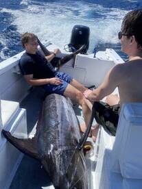 Once in A Lifetime Day - Blue Marlin