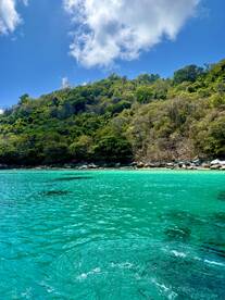 A scenic view of a lush green hillside meeting turquoise waters, ideal for fishing adventures.